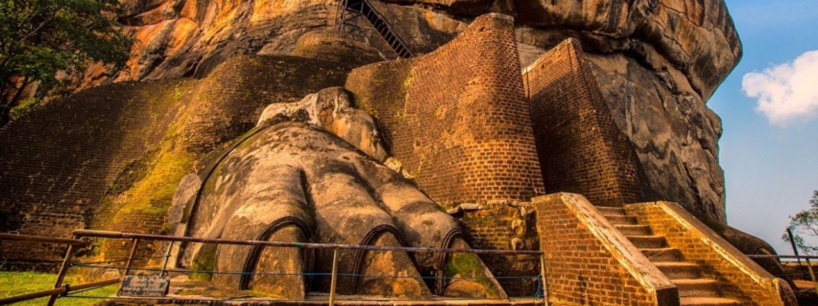 Tourists In Hospital After Wasp Attack at Sigiriya